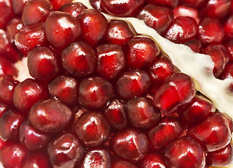 Image showing ripe pomegranate background