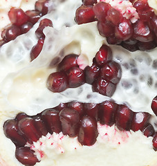 Image showing ripe pomegranate background