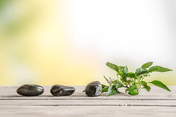 Image showing Black stones and a flower on a table