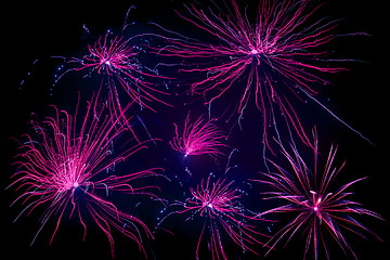 Image showing Violet fireworks on black background