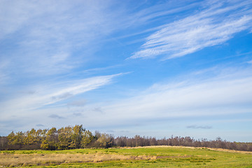 Image showing Denmark landscape with fields and trees