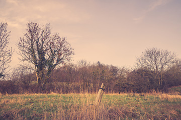 Image showing Field with an old fence post