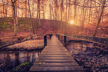 Image showing Forest bridge in the sunrise