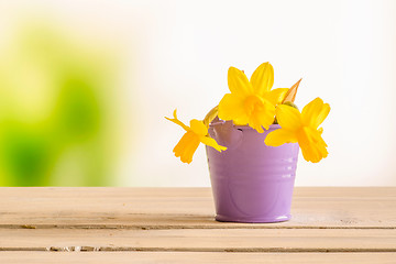 Image showing Daffodils in a purple bucket