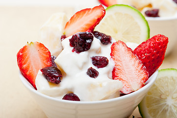 Image showing fruit and yogurt salad healthy breakfast