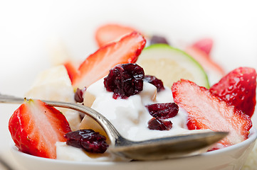 Image showing fruit and yogurt salad healthy breakfast