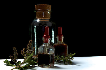Image showing three glass bottles with herbal extracts and dried herbs close t