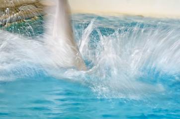 Image showing Dolphin blur leaping