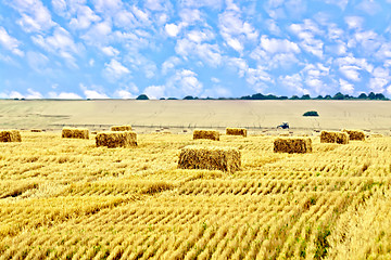 Image showing Bales of straw rectangular