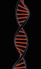 Image showing DNA structure model