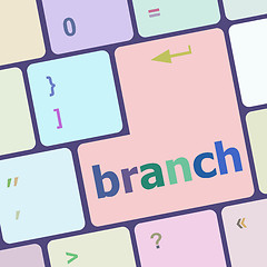 Image showing branch word on keyboard key vector illustration