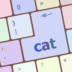 Image showing cat word on computer pc keyboard key vector illustration