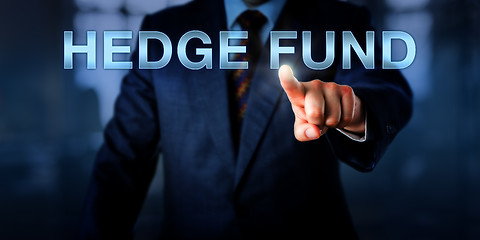 Image showing Portfolio Manager Pointing At HEDGE FUND