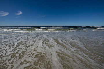 Image showing Sounders Isand Falkland Islands