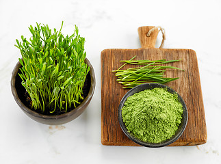 Image showing bowl of wheat sprout powder