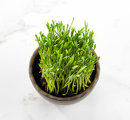 Image showing bowl of wheat grass