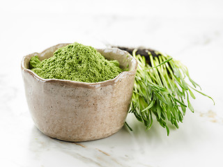 Image showing bowl of wheat grass powder