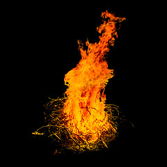 Image showing Bonfire in the night