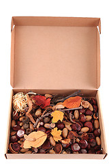 Image showing autumn forest production in the papaer box 