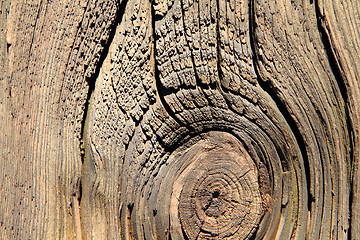 Image showing abstract wooden gray texture