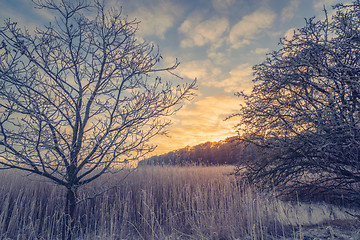 Image showing Countryside winter landscape in the sunrise