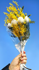 Image showing Bouquet of mimosa in hand 