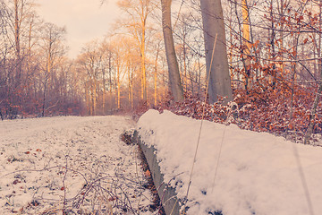 Image showing Snow on a piece of lumber