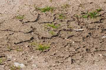 Image showing Dry soil with green grass