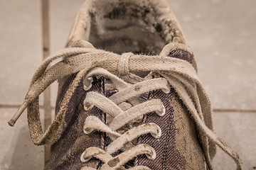 Image showing Close-up of laces on a dirty shoe