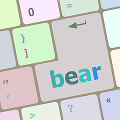 Image showing bear word on keyboard key, notebook computer button vector illustration