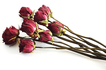 Image showing bouquet of withered roses against a white background