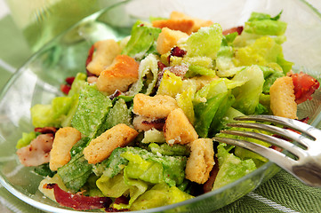 Image showing Caesar salad