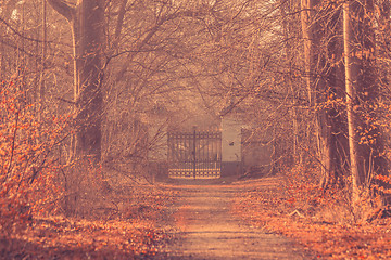 Image showing Large gate in a misty forest