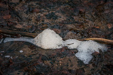 Image showing Melting snow in a river