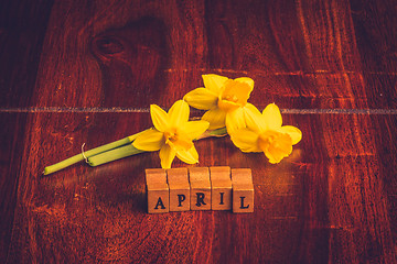 Image showing April month with yellow daffodils