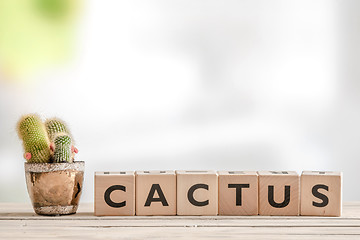 Image showing Cactus sign with a plant