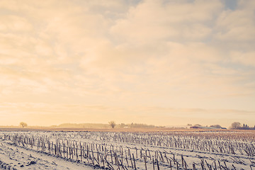 Image showing Countryside landscape in the wintertime