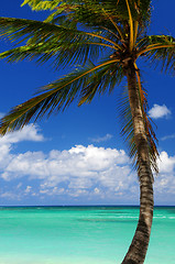 Image showing Scenic view on Caribbean sea