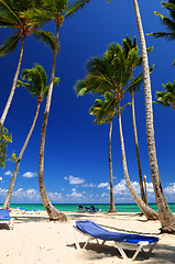 Image showing Sandy beach on Caribbean resort