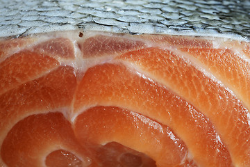 Image showing salmon closeup fresh fillets