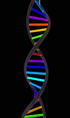 Image showing DNA structure model