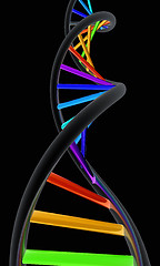 Image showing DNA structure model