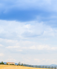 Image showing Countryside in Tuscany