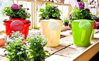 Image showing Garden - Watering can