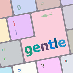 Image showing gentle button on computer pc keyboard key vector illustration