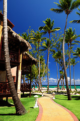 Image showing Tropical resort on ocean shore