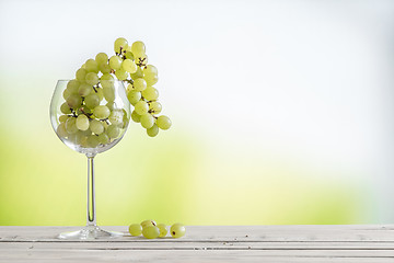 Image showing Grapes in a vine glass