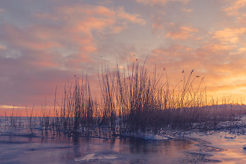 Image showing Grass silhouettes in a frozen lake