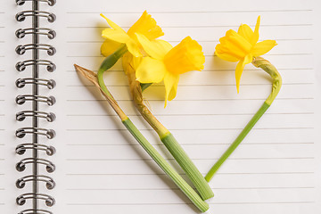 Image showing Heart of daffodils on paper