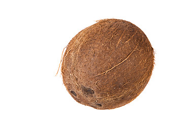 Image showing Coconut seed
